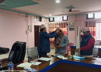 WhatsApp_Image_2026_01_03_at_6.20.19_PM.jpeg